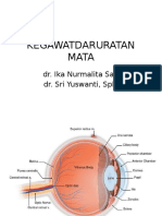 Kegawatdaruratan Mata