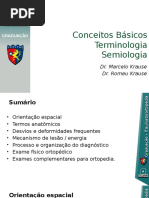 conceitos basicos