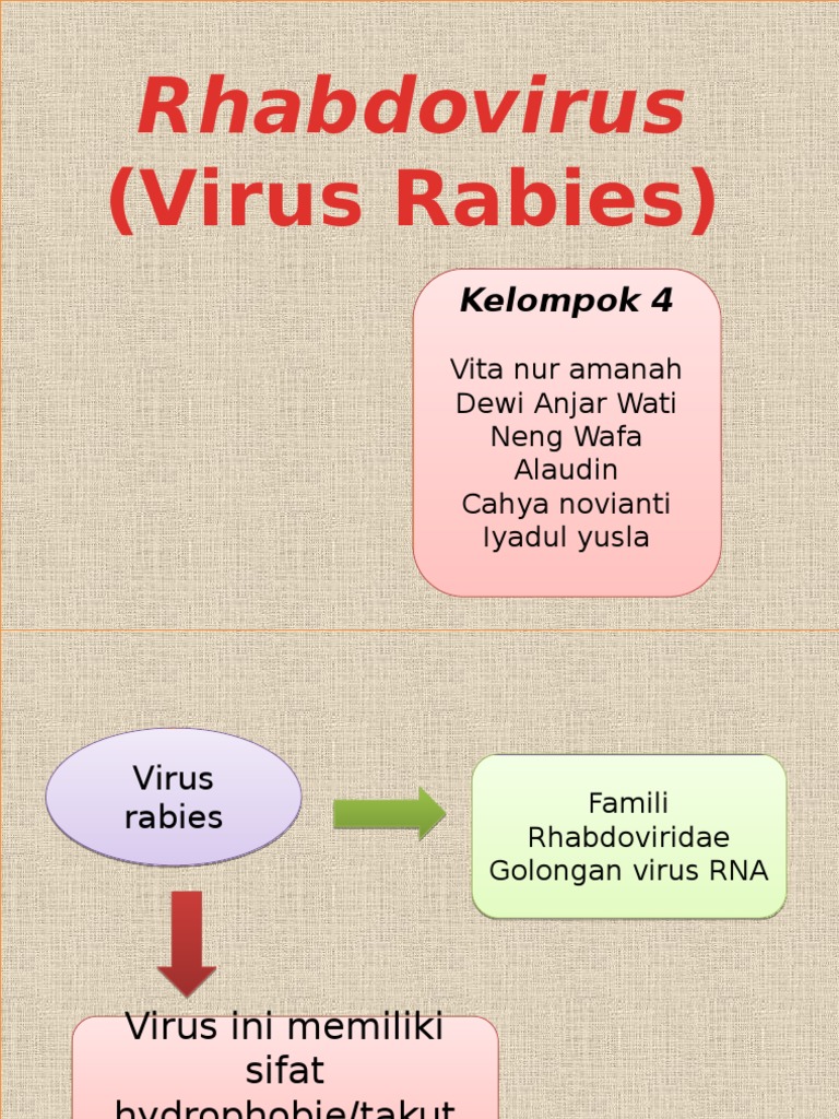Rabies | PDF