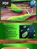 enfermedades aéreas 