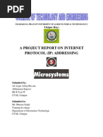 Download Report on IP Addressing by Ali Asgar Kanchwala SN31653542 doc pdf