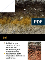 Soils