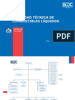 1 Introducción. La Superintendencia de Electricidad y Combustibles PDF