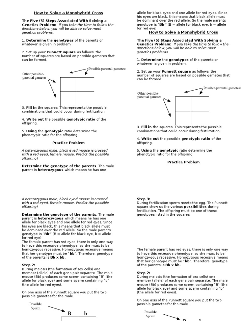 the-blue-people-of-troublesome-creek-worksheet-answers-ecoist