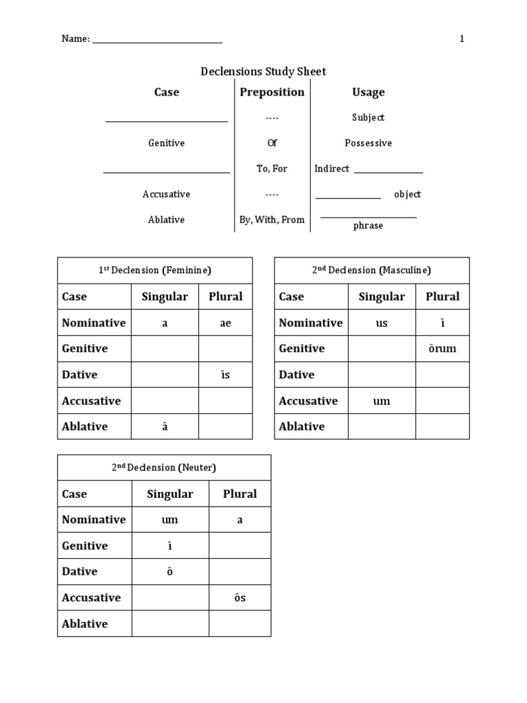 Adjective Declination Overview | PDF