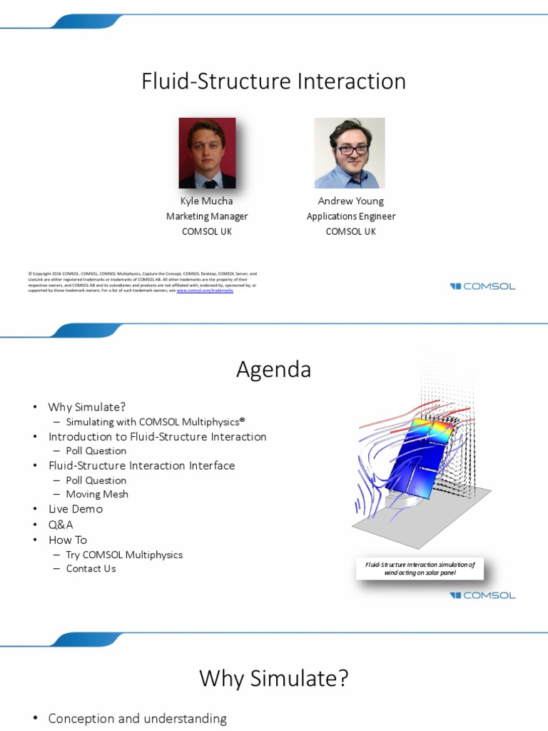 Fulid Structure Interaction Webinar Slides Pdf Fluid Dynamics