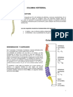 06 - Columna Vertebral.pdf