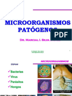 3 Peligros Microbianos 2015 Febrero