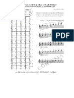 Nomenclatura Charango