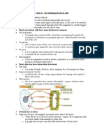 B2 Topic 1 Notes