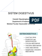 Sistem Digestivus
