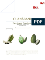 169165353-GUANABANA (1).docx