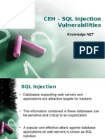 CEH IT Security SQL Injection
