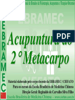 Aula Acupuntura Do 2º Metacarpo PDF