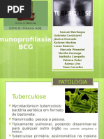 Imunoprofilaxia - BCG.3 2.0