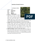 Tumbuhan Endemik Sulawesi