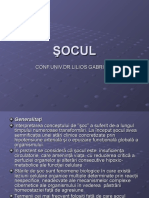 ŞOCUL