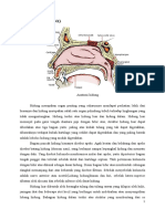 Anatomi Dan Histologi Hidung
