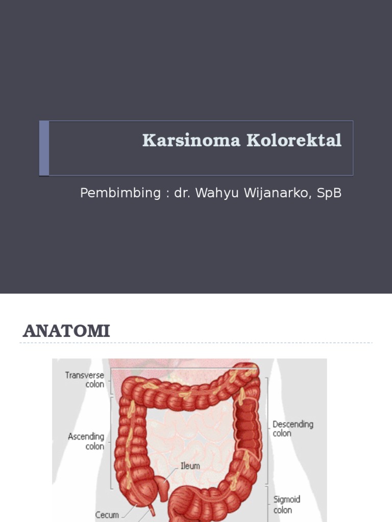 CA Colon | PDF