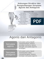 Hubungan Struktur dan Pengembangan Senyawa Agonis dan Antagonis.pptx