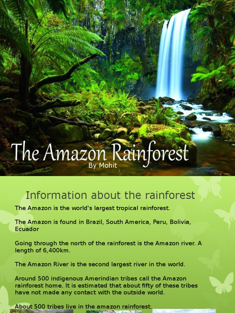 Amazon Rainforest: Facts and Deforestation | PDF | Amazon Rainforest ...