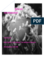 ModelSystem Synapse Neurotransmitters