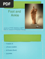 Foot and Ankle Kinesiolog