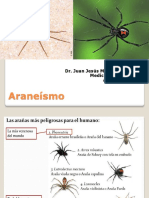 Araneismo