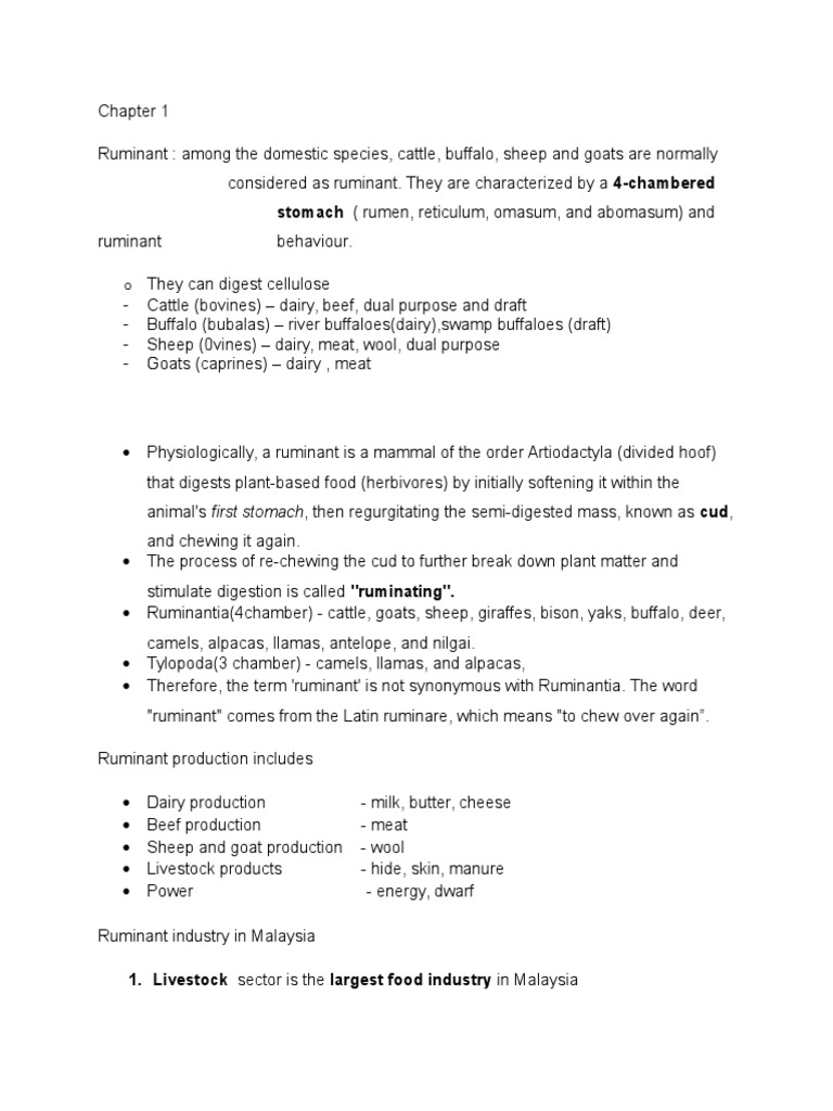 Ruminant Digestive System Overview | PDF | Ruminant | Digestion