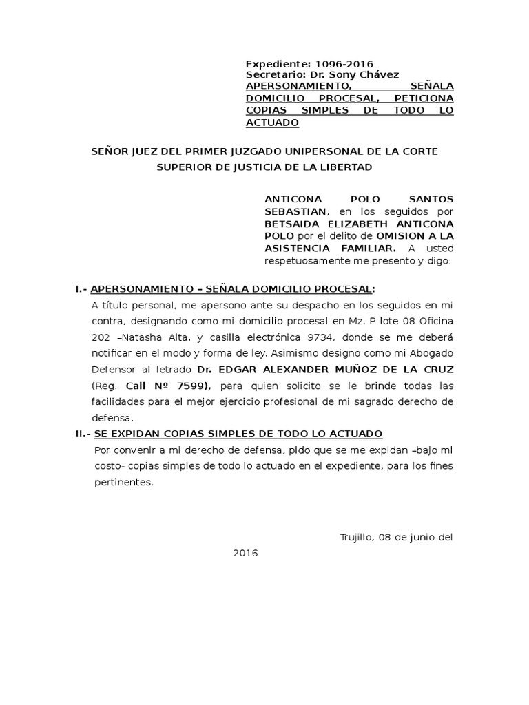 Apersonamiento penal 2.docx