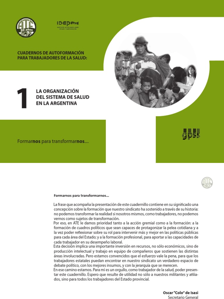 Organización Del Sistema de Salud en Argentina | PDF | Hospital ...