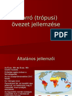 A Forró Trópusi Övezet Jellemzée