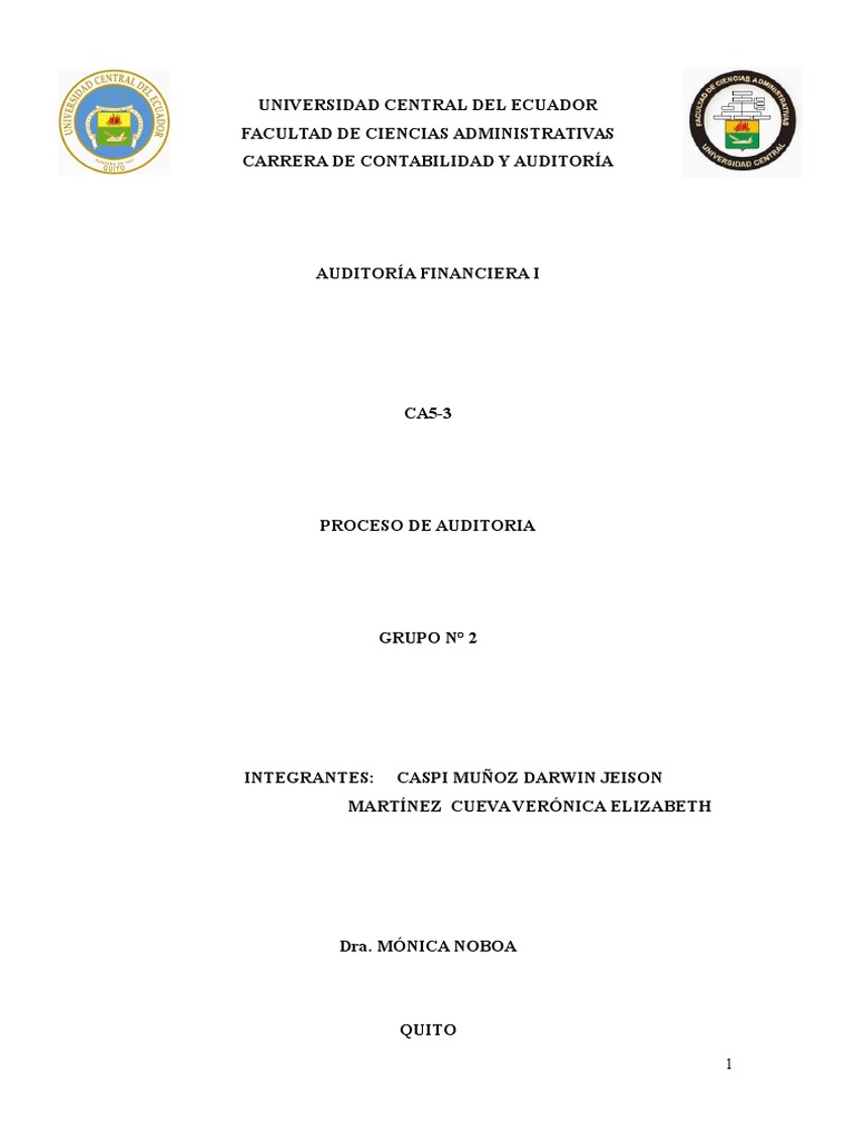 Proceso de Auditoría Financiera Detallado | PDF | Auditoría financiera ...