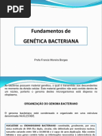 Genética Bacteriana Aula 3 Micro I BOMMM