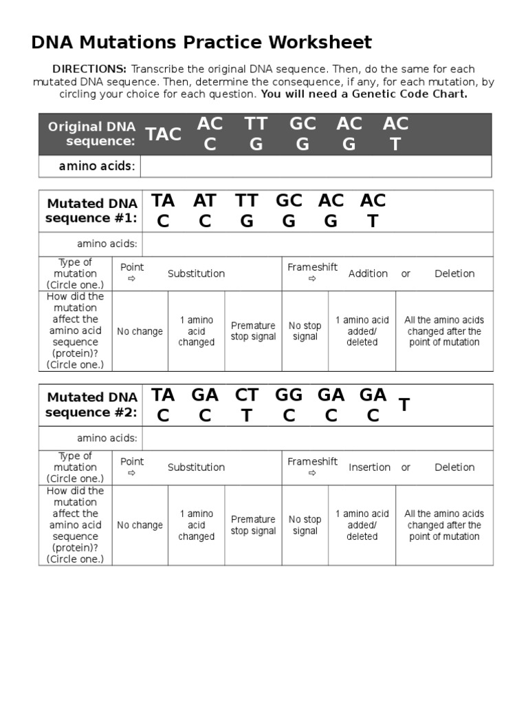 dna mutations practice worksheet | Point Mutation | Nucleic Acid Sequence