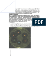Metode Metode Dalam Mikrobiologi