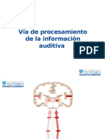 OVA - Vía de Procesamiento de La Información Auditiva