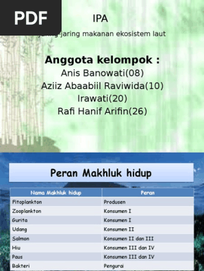 Jaring Jaring Makanan Ekosistem Laut