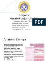 Case Keratokonjungtivitis