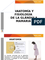 Anatomia y Fisiologia de La Glandula Mamaria