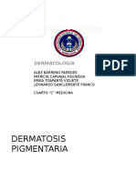 dermatosis pigmentarias