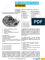 Mitoc Ndrias ATP e Respira o Celular Exerc Cios Aprofundados