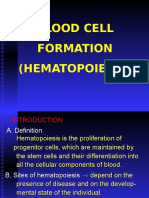 Blood Cell Formation (Hematopoiesis)