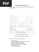 Embedded Development Life Cycle