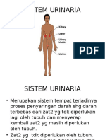 System Urinari