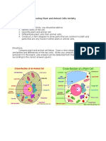 Comparing Plant and Animal Cells Activity