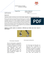 Actividades de Revisiön Microscopio