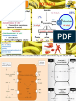 The Hipokalemia