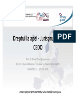 Dreptul La o Cale de Atac - Jurisprudenta CEDO - Prof. Dr. David Thor Björgvinsson