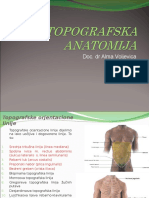 Peritoneum I Projekcije Organa